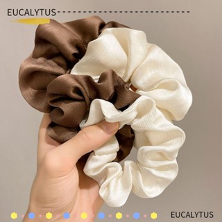 Eutus ยางรัดผมหางม้า ขนาดใหญ่ สีเบจ สีกาแฟ 5 ชิ้น