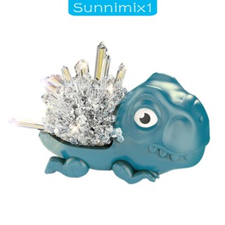 [Sunnimix1] ชุดของเล่นคริสตัล ทดลองวิทยาศาสตร์ สําหรับเด็กผู้ชาย และเด็กผู้หญิง