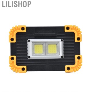 Lilishop Mini  Flood Light COB Emergency USB Charging Double New