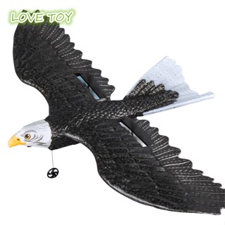 Nkodok 2.4G Eagle รีโมทคอนโทรล เครื่องบินปีกคงที่ RC Glider EPP โฟม RC เครื่องบินของเล่นสําหรับเด็กผู้ชายของขวัญวันเกิด