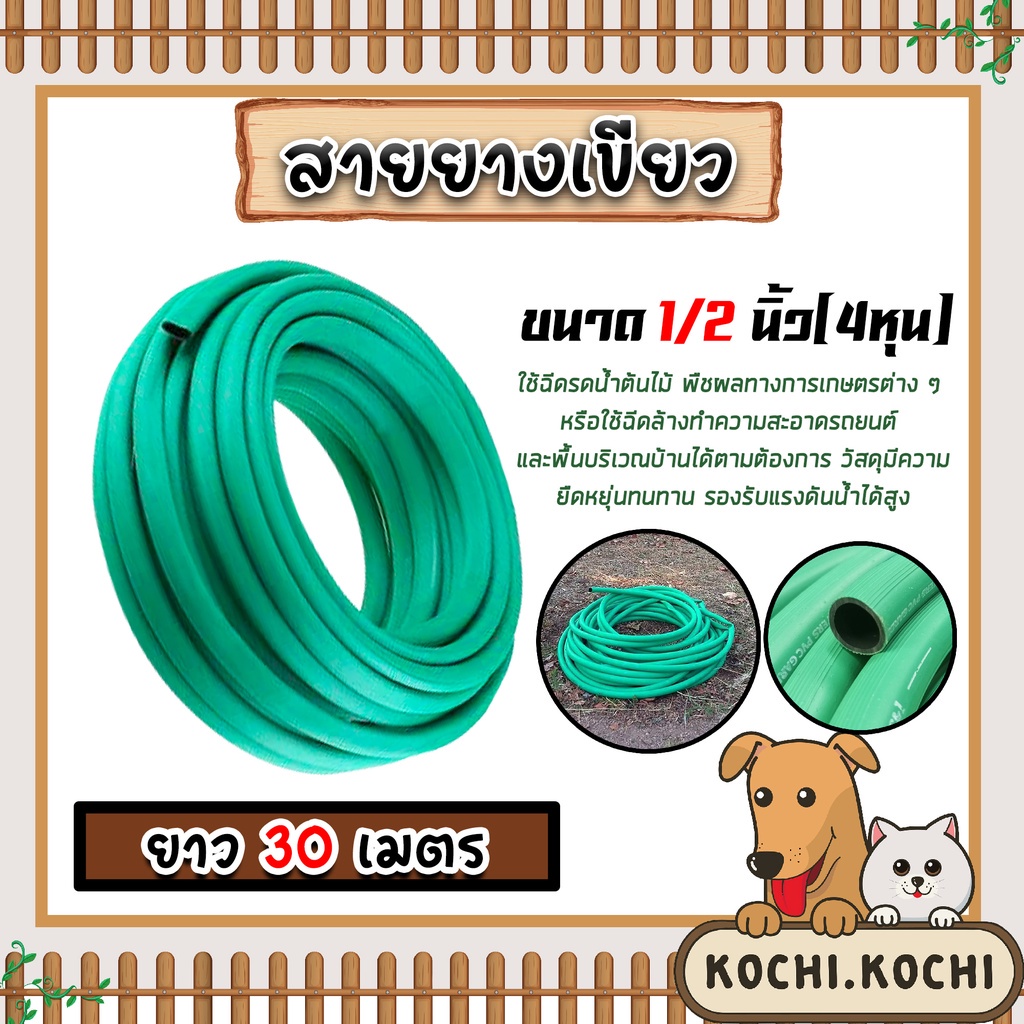 สายยางเขียว ขนาด 1/2 นิ้ว(4หุน) ยาว 30เมตร