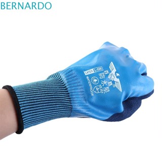 Bernardo ถุงมือยาง กันน้ํา สําหรับสัตว์เลี้ยง 1 คู่