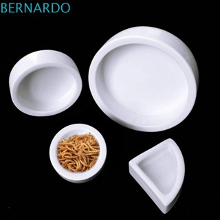 Bernardo หม้ออาหารจิ้งจก เซรามิค ทรงกลม สีขาว สําหรับสัตว์เลื้อยคลาน