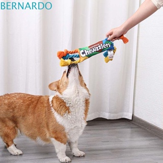 Bernardo ของเล่นเคี้ยวฟันกราม รูปหมี ทนทาน ขนาดเล็ก สําหรับสัตว์เลี้ยง สุนัข