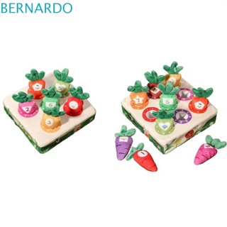 Bernardo ของเล่นตุ๊กตาผัก ผลไม้ จับคู่ปริศนา แบบนิ่ม สําหรับเด็ก