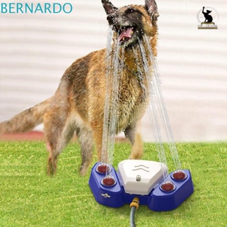Bernardo ของเล่นสปริงเกลอร์พลาสติก ทนทาน สําหรับสัตว์เลี้ยง สุนัข