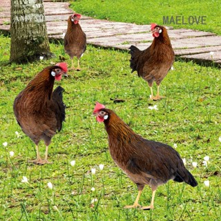 Maelove รูปปั้นไก่อะคริลิค เหมือนจริง สองด้าน สําหรับตกแต่งบ้าน สวน