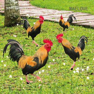 Maelove ฟิกเกอร์อะคริลิค รูปปั้นไก่ สําหรับตกแต่งสวน กลางแจ้ง