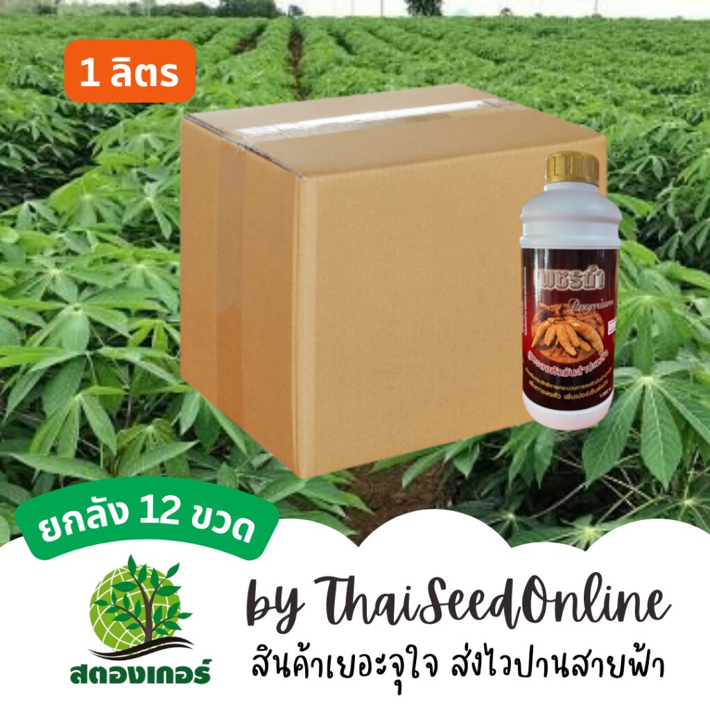ยกลัง สตองเกอร์ เพชรดำลงหัว ระเบิดหัวมัน 1 ลิตร (12ขวด)