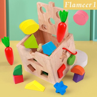 [flameer1] ของเล่นกล่องจับคู่ รูปแครอท เสริมการเรียนรู้ สําหรับเด็กวัยหัดเดิน อายุ 1 2 3 ปี