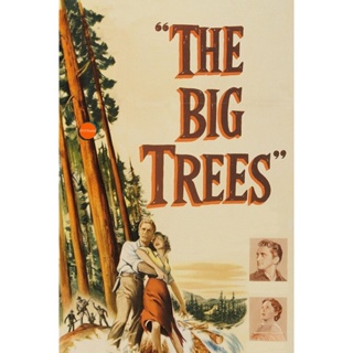 หนังแผ่น DVD The Big Trees (1952) สุภาพบุรุษในป่าใหญ่ (เสียง ไทย/อังกฤษ | ซับ ไม่มี) หนังใหม่ ดีวีดี
