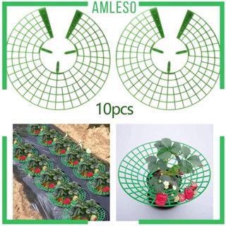 [Amleso] ขาตั้งสตรอเบอร์รี่ อเนกประสงค์ สําหรับสนามหญ้า ผลไม้กลางแจ้ง