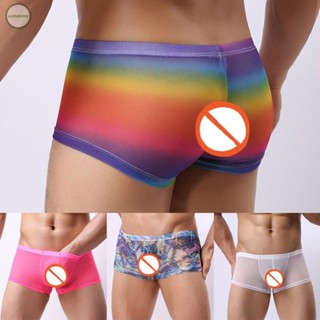 GORGEOUS~Sexy Mens Mesh See Through G-string Boxer Briefs Bikini Underwear Underpants