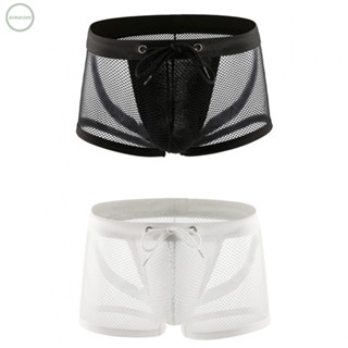 GORGEOUS~Briefs Boxer Briefs Mens Panties See Through Sheer Mesh Pouch Underwear