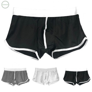 GORGEOUS~Mens Solid Underwear Daily Boxers Briefs Ice Silk Male Panties Men Clothing