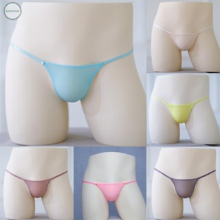 GORGEOUS~Underwear Bikini Underwear Slight Stretch Solid Color Translucent Ice Silk