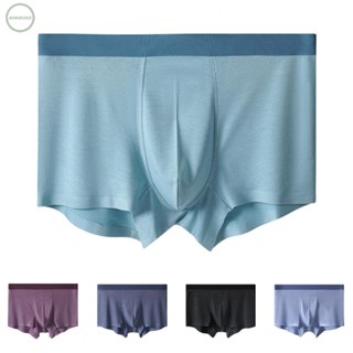 GORGEOUS~Mens Brief Underpants All Seasons Breathable Classic Comfort Ice Silk