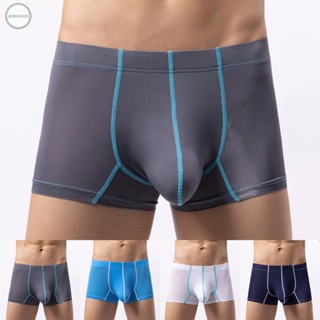 GORGEOUS~Mens Brief Boxer Brief Comfortable Gray\Blue\Royal Blue\White Ice Silk