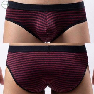 GORGEOUS~Underwear Light Lingerie Low Waist M-2XL Male Men Mesh Night 1pc Panties