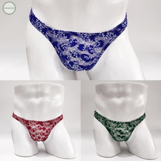 GORGEOUS~Sexy Mens Underwear Breathable Mesh See Through Bikini Briefs (Multiple Colors)