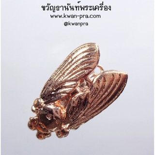 หลวงตารวม วัดโคกสำราญ แมลงภู่เศรษฐี มหาเสน่ห์เมตตา (KP3446)