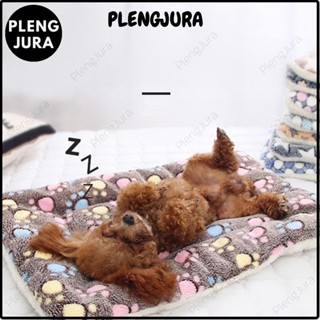 เบาะที่นอนสำหรับสุนัขและแมว ที่นอนสุนัข เบาะนอนรุ่น3 ฟูนุ่มกว่าเดิม Pet Blanket Bed