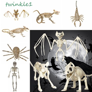 Twinkle1 โมเดลโครงกระดูก ค้างคาว แมงป่อง แมงป่อง พลาสติก น่ากลัว สําหรับปาร์ตี้ฮาโลวีน