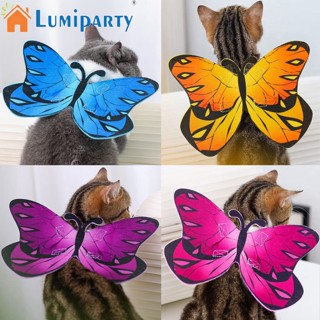 Lumiparty ปีกผีเสื้อ แมว น้ําหนักเบา ปรับได้ ผ้าสักหลาด หลากสี เครื่องแต่งกายแต่งตัว สําหรับปาร์ตี้ฮาโลวีน