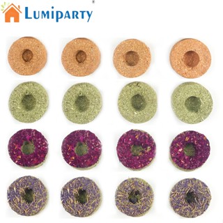 Lumiparty ของเล่นหญ้าทิโมธี คุกกี้ ขนมขบเคี้ยว อาหาร สําหรับสัตว์ขนาดเล็ก หนูตะเภา ชินชิล่า กระต่าย หนูแฮมสเตอร์ 16 ชิ้น