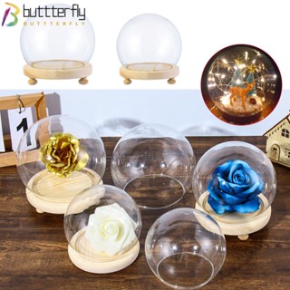 Buttterfly ขวดโหลแก้วใส ทรงกลม สําหรับใส่ดอกไม้ ตกแต่งบ้าน