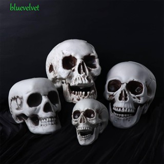 Bluevelvet โมเดลหัวกะโหลก โครงกระดูกน่ากลัว สําหรับแขวนตกแต่งปาร์ตี้