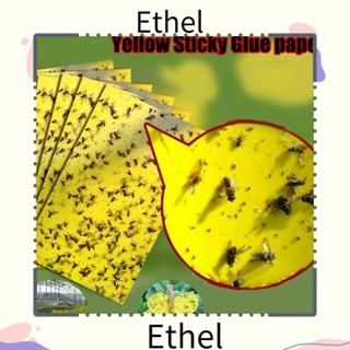 Ethel1 กระดาษกาวเหนียว กําจัดแมลงวัน แมลง 10 20 50 100 ชิ้น