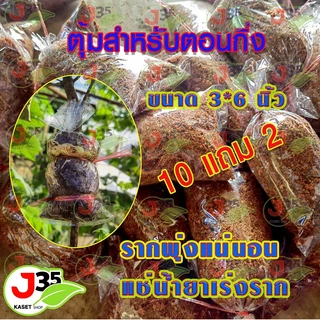 (10ตุ้ม) ตุ้มตอนกิ่ง ถุงตอนกิ่ง (แถม2ตุ้ม) แถมเคเบิ้ลไทร์ 24 เส้น ตอนกิ่ง สำหรับตอนกิ่ง แช่น้ำยาเร่งรากแล้ว รากติดง่าย