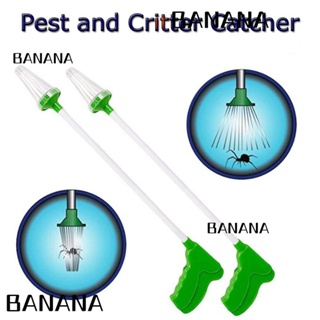 Banana1 เครื่องดักจับแมงมุม แมงมุม แมลงวัน แมงป่อง และแมลง สีเขียว ควบคุมศัตรูพืช เป็นมิตรกับมนุษย์ สําหรับสวน