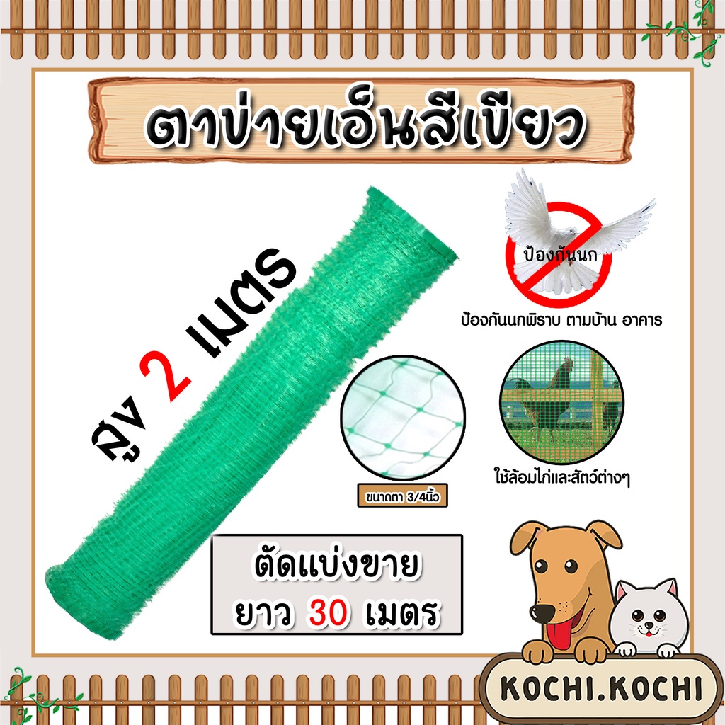 ตาข่ายพลาสติก (สีเขียว) สูง 2 เมตร ม้วนเต็มยาว 30 เมตร ตาข่ายล้อมไก่ ตาข่ายป้องกันนก ตาข่ายล้อมผัก ตาข่ายเกรดA อย่างดี