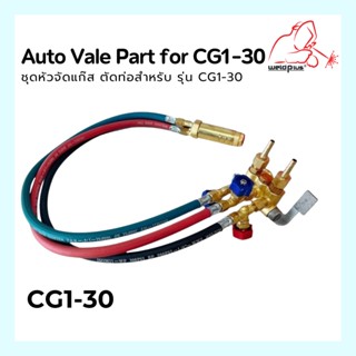 ชุดหัวตัดแก๊ส หัวเดี่ยว Auto Valve part for CG1-30  สำหรับเครื่อง รุ่น CG1-30 WELDPLUS