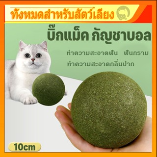 ขนมแมวเลีย😻แคทนิปบอล กัญชาแมว ขนมแมว เกมกลางแจ้ง ของเล่นแมวเลีย ซุปเปอร์ใหญ่ ขัดฟันแมว กัญชาแมวเลีย อมยิ้มแมว 10CM