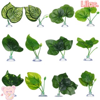 Lilac Betta Leaf Play ที่พักใบไม้น้ํา สําหรับตู้ปลา