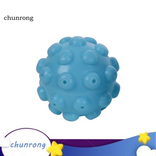 Chunrong เครื่องอบผ้าไอน้ํา ทรงกลม เป็นมิตรกับสิ่งแวดล้อม สําหรับซักผ้า ขจัดริ้วรอย 1 ชิ้น