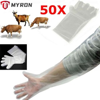 Myron ถุงมือพลาสติก แบบใช้แล้วทิ้ง ปลอดสารพิษ สําหรับสอบสัตวแพทย์ 50 ชิ้น