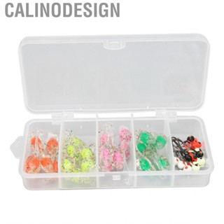 Calinodesign Fishing Lures Kit Silicone Baits TPE Soft T Tail with Hooks Transparent Carrying Box for Freshwater Saltwater