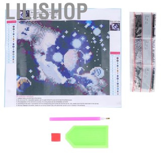 Lilishop Embroidery Kit High-End Round Rhinestone Vivid Image Reduce Stress Easy To