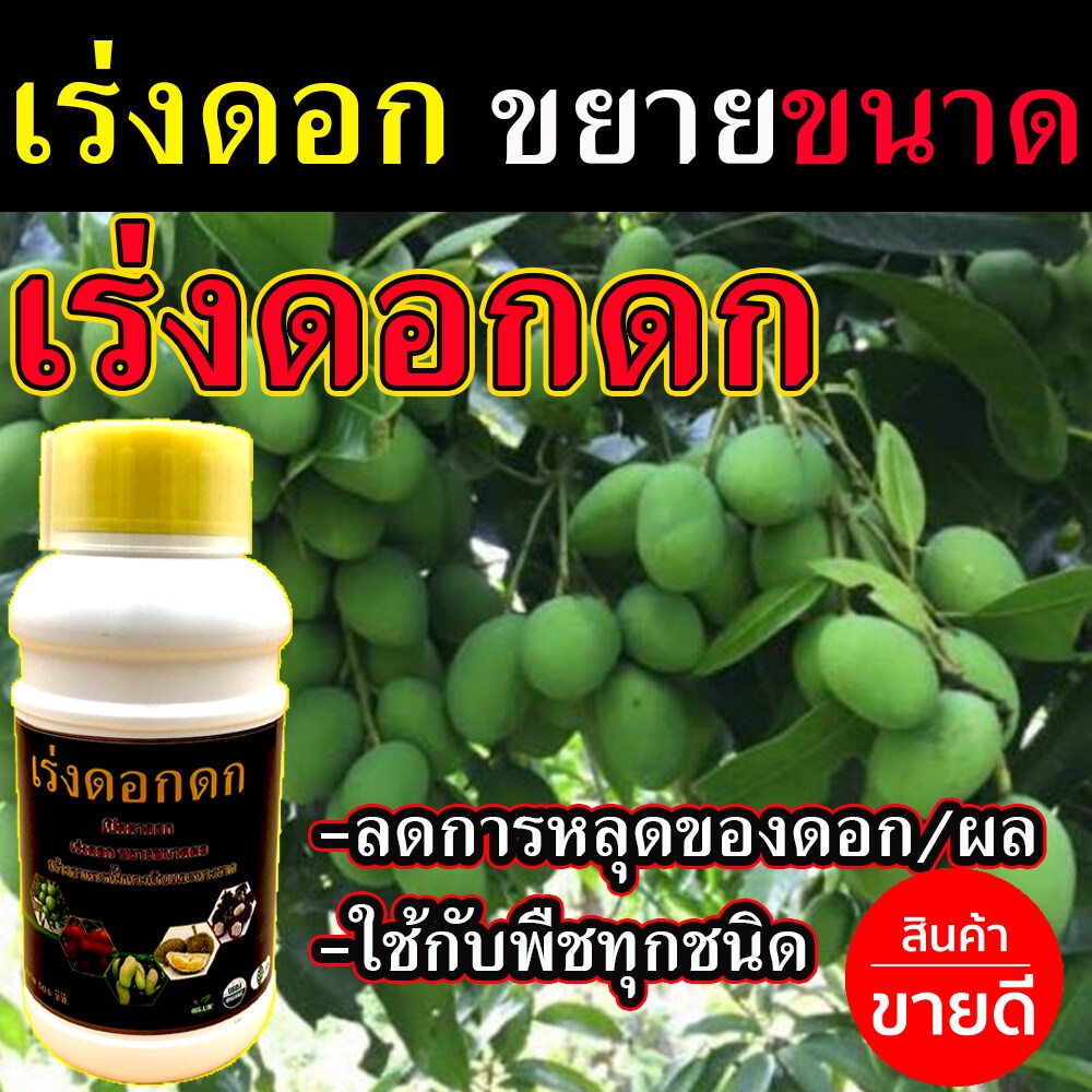 สูตรเข้มข้น น้ำยาเร่งดอกดก 500 ซีซี ( ไร้สารเคมี ) ยาเร่งดอกและผล ยาเร่งดอกผลไม้ เร่งดอกดก เร่งดอกเร