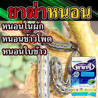 (เห็นผล100%) สารกำจัดหนอน 100 กรัม ยาฆ่าหนอน ยาฆ่าหนอนในหอม ยาฆ่าหนอนผัก กำจัดแมลงฆ่าหนอนม้วน ฆ่าหนอนกระทู้