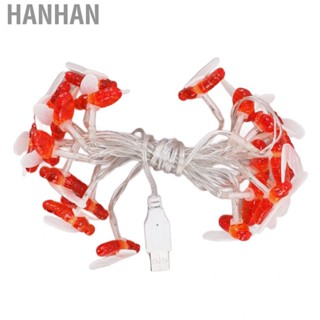 Hanhan Solar Bee String Lights 20  Honey Fairy  Warm Light