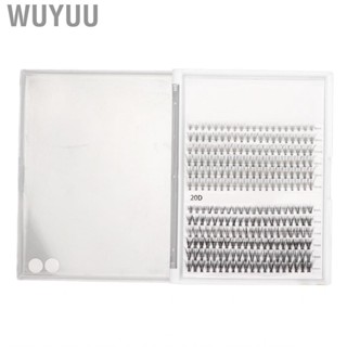 Wuyuu 240pcs  Extensions Set For Natural Lashes Eyelash Extension Kit