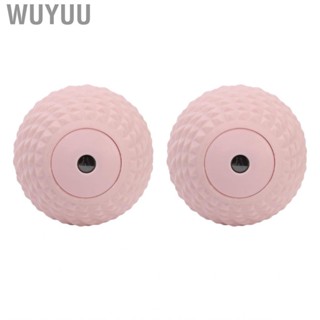 Wuyuu 2Pcs  Ball Yoga Relax Feet Lacrosse Shoulder Muscle Mass Hbh