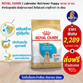 ROYAL CANIN Labrador RetrieverPUPPYลูกสุนัข 2 15เดือน พันธุ์ลาบราดอร์ 12 กิโลกรัม