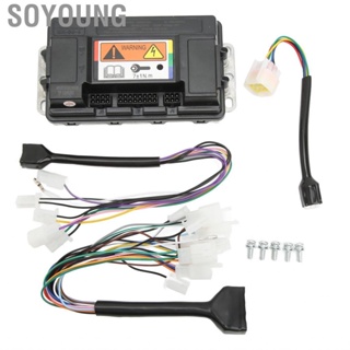 Soyoung Sine Wave Controller  Easy Operation IP67  ECU Motherboard for Electric Bicycles