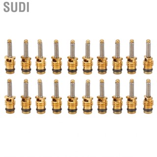 Sudi Car Air Conditioning Valve Core Copper for Replacement